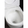 Купить купить унитаз биде подвесной с сиденьем микролифт, boheme fiore, белый арт. 978-set-2-w