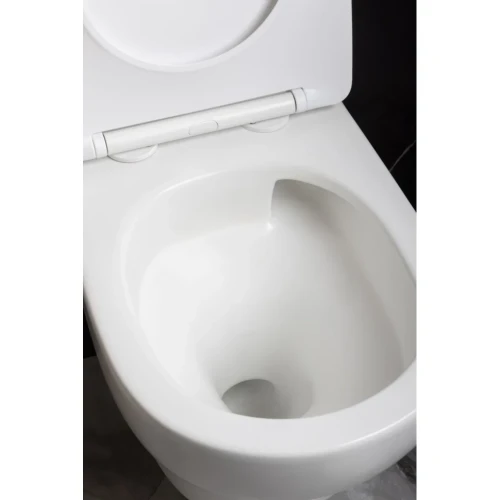 Купить купить унитаз биде подвесной с сиденьем микролифт, boheme fiore, белый арт. 978-set-2-mw